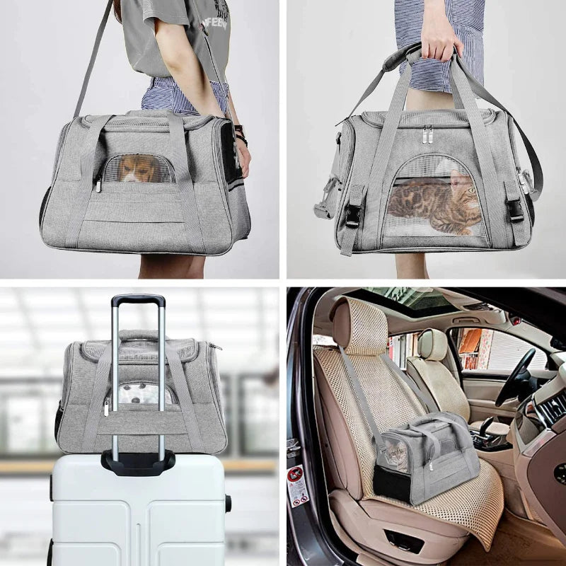 Professional Cat Backpack Carrier with Breathable Design for Outdoor Travel - Portable and Foldable - Pet Supplies Wholesale